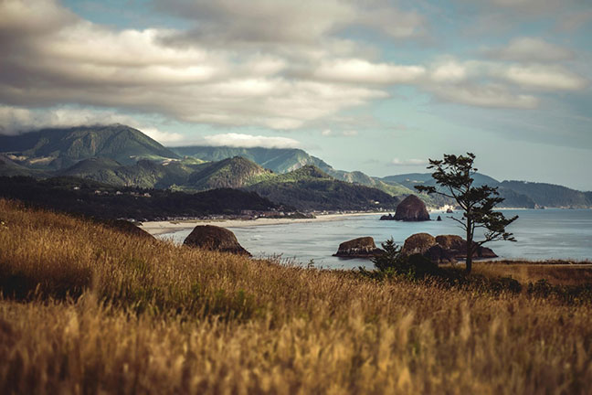 A forested group of mountains near the coast of Oregon