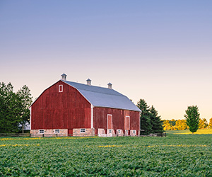 Farm Insurance