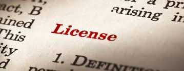 Dictionary definition of 'license' image