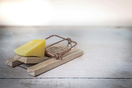 A mousetrap loaded with a large piece of yellow cheese.