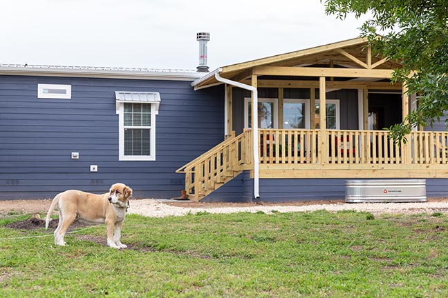 A dog with short, light-colored fur stares off into the distance, a navy manufactured home behind it.